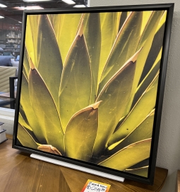 Agave Print - Hotel Art