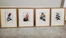 Four Seasons Westlake Village Small Botanical Prints
