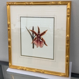 Four Seasons Westlake Village Botanical Prints - Suites